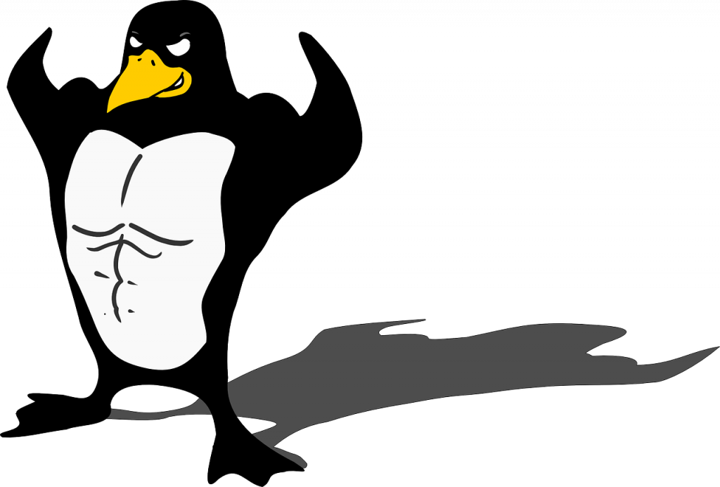 penguin, bodybuilder, linux