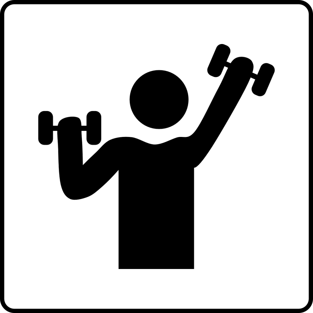 gym, weights, sports
